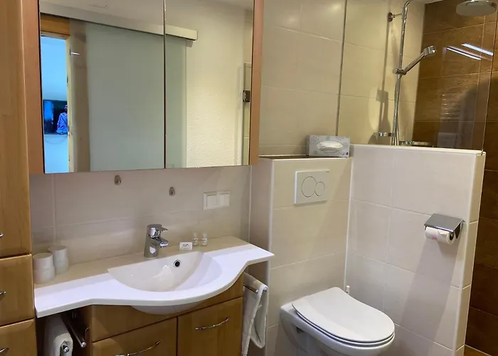 Hubner Lejlighed Ramsau am Dachstein